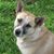 Brenda Gleason's profile image