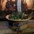 Felice Shenkosky's profile image