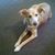 Susan Baskerville's profile image