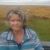 Teresa Tessier Dolton's profile image