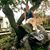 Mary Beth Crittenden's profile image
