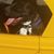 Sigga Seager's profile image