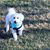Diane Beatty's profile image
