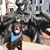 Matt Kneier's profile image