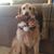 Gretchen Smith Humphrey's profile image