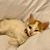Sharon Schild Willis's profile image