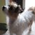 Shawn Ritchea's profile image
