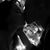 Shannon Lee Baras's profile image