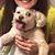 Emily Standley's profile image