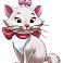 Cari Terry-Cate's profile image