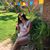 Lesley Villarreal Ramos's profile image