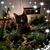DeeDee Copeland Turner's profile image
