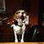 Kathleen Robinson-Wickes's profile image
