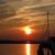Susan Tighe Bates's profile image