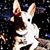 Chris Isham's profile image