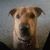 David Wasko's profile image