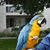 Brian Twomey's profile image