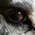 Susan Waddington's profile image