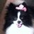 Dolores Romero's profile image