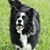 Amanda Mindham's profile image
