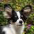 Sharon Nelson Clark's profile image