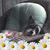 Carol Krusey's profile image
