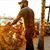 Tariq Mitchell's profile image