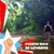Rauito Agosto-Marrero's profile image
