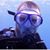 Jason Rushing's profile image