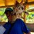 Bert Torres's profile image