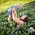Jillian Popplewell's profile image