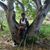 Shakima Meulens's profile image