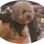 曾筠's profile image