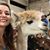 Liz Dysinger's profile image