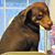 Eric Henkin's profile image