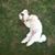 Merse McSmithe's profile image