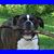 Cliff Gottmann's profile image