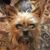 Elaine Osborne's profile image