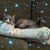 Andrea White-Jacobson's profile image