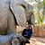 Shelley Storee's profile image
