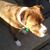 Dale Sinnen's profile image