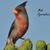 JH Behrendt's profile image