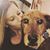 Katie Girard's profile image