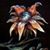 Heather K Adkins's profile image