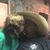 John Paul Goins's profile image