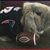 Cathy Laplante's profile image