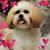 M.A. Rdz's profile image