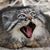 Manxe Kitairn's profile image