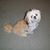 Carol Schwengel's profile image