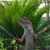 Kathy Perry's profile image